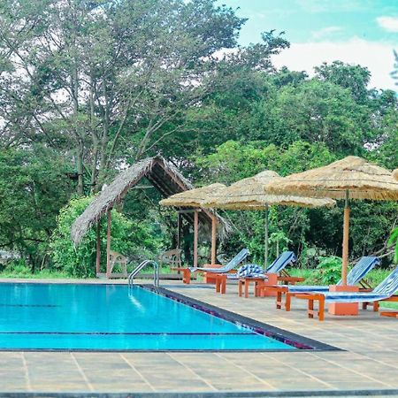 Sigiriya Peacock Homestay Esterno foto