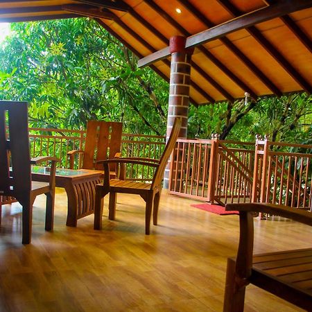 Sigiriya Peacock Homestay Esterno foto