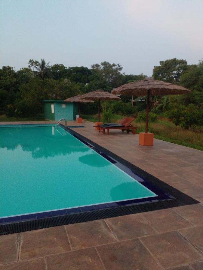 Sigiriya Peacock Homestay Esterno foto