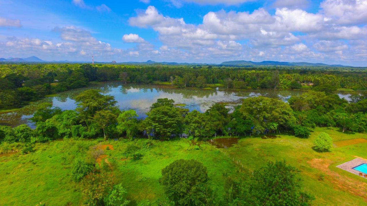 Sigiriya Peacock Homestay Esterno foto
